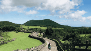 Read more about the article If you’re planning a trip to Asia this year, here are ten suggestions.